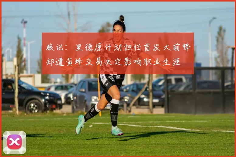 狼记：里德原计划担任首发大前锋却遭黄蜂交易决定影响职业生涯